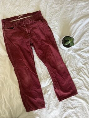 L.L. Bean Corduroy Pants in Wine